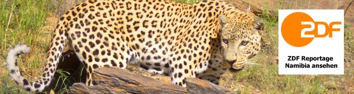 Namibia ZDF